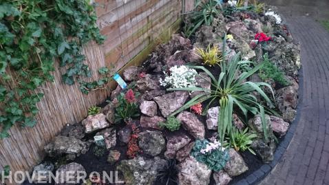 Border met rotsblokken en kleurrijke beplanting