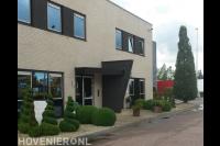 Vormsnoei van buxus in de voortuin