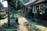 Boerderij tuin met bodembedekkers in borders en leibomen