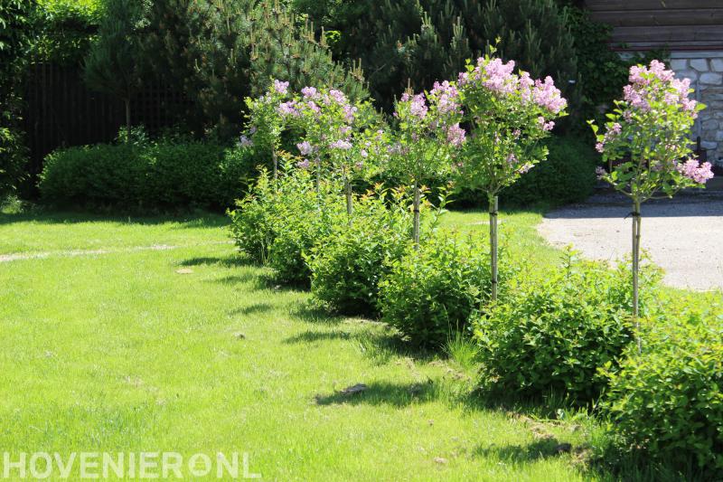 Engberts Hoveniersbedrijf