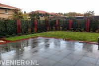 Tuinaanleg met bestrating, gazon en hedera schutting