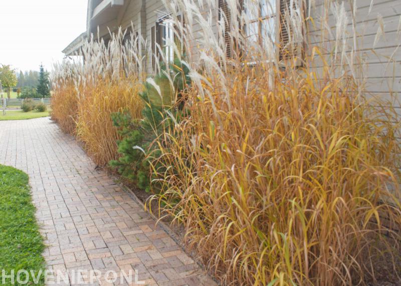 Klusbedrijf John van Laarhoven