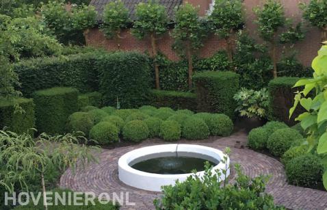 Groene tuin met hagen en buxus in verschillende vormen