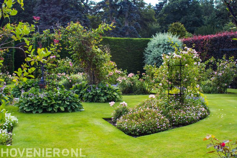 Hoveniersbedrijf Klavertje 4