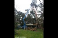 Boom kappen met behulp van hoogwerker