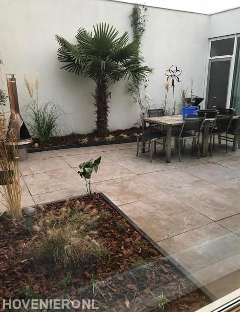 Kleine tuin met palmboom en borders bedekt met boomschors