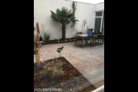 Kleine tuin met palmboom en borders bedekt met boomschors