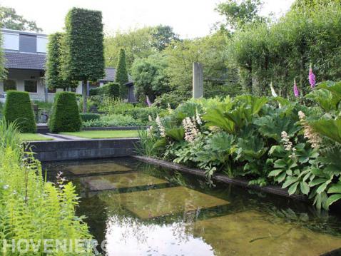 Strakke heldere vijver omgeven door planten