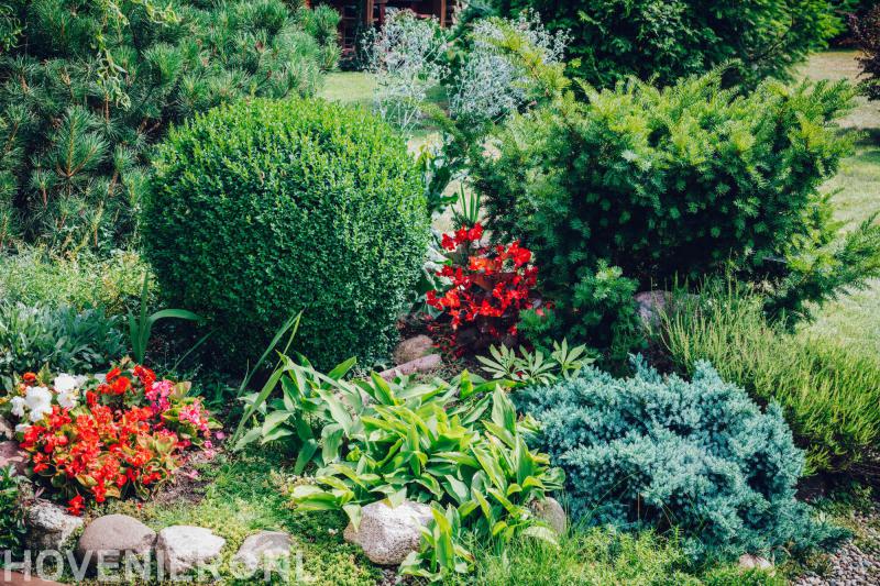 Hoveniersbedrijf Van Amelsfoort