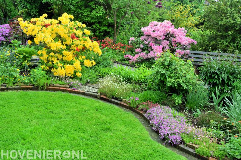 Lips Groen Hoveniers B.V.