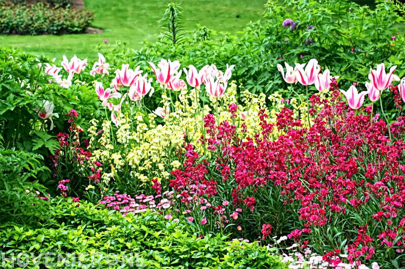 Bart Peeters Hoveniers