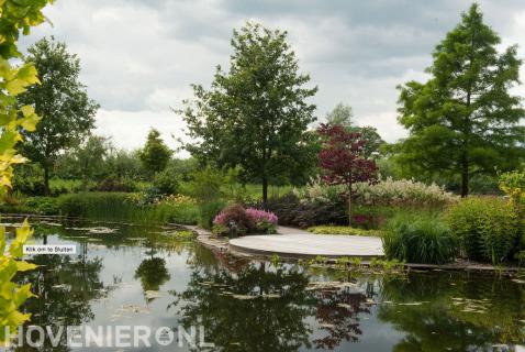 Tuin met grote vijver en kleurrijke borders 3