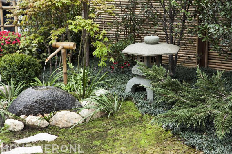 Berkenbosch Groentechniek