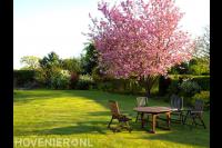 Hoveniersbedrijf Het Gazonnetje