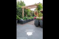 Robuuste pergola van douglas hout 1