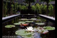 Strakke vijver met waterornament en waterlelies