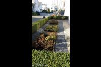 Onderhoudsvriendelijke tuin met split, heg en kleine borders