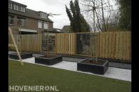 Plantenbakken met leibomen voor houten schutting