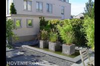 Plantenbakken in strakke vijver