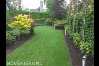 Tuin met gazon, buitenverlichting en leibomen