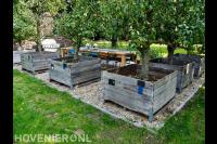 Houten veilingkisten als plantenbakken voor fruitbomen