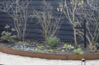 Border van cortenstaal met vaste planten langs een schutting