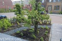 De bevlogen tuincoach