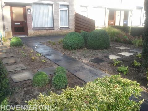 Voortuin met bestrating van grote tegels en buxusbollen