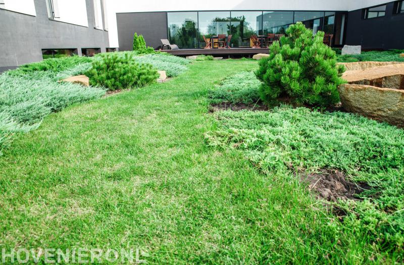 Hoveniersbedrijf De Groene Wens