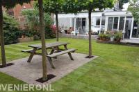Achtertuin met graszoden en terras met picknicktafel en dakplatanen