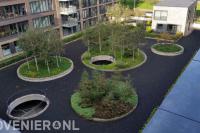 Borders met boompjes in daktuin