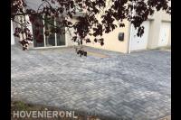 Tuin en oprit bestraten