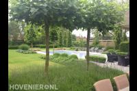 Ruime tuin met groot gazon en zwembad 1