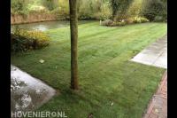 Nieuw gazon aanleggen met graszoden