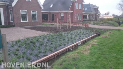 Beschoeiing plaatsen en nieuwe beplanting aanbrengen