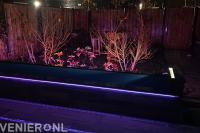 Vd plas tuinprojecten