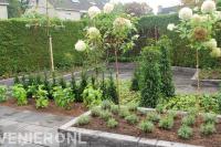 Achtertuin met verhoogde borders, betontegels en veel groen