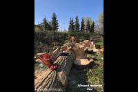 Boom in stukken zagen