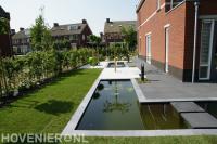 Moderne tuin met vijver, gras en leibomen