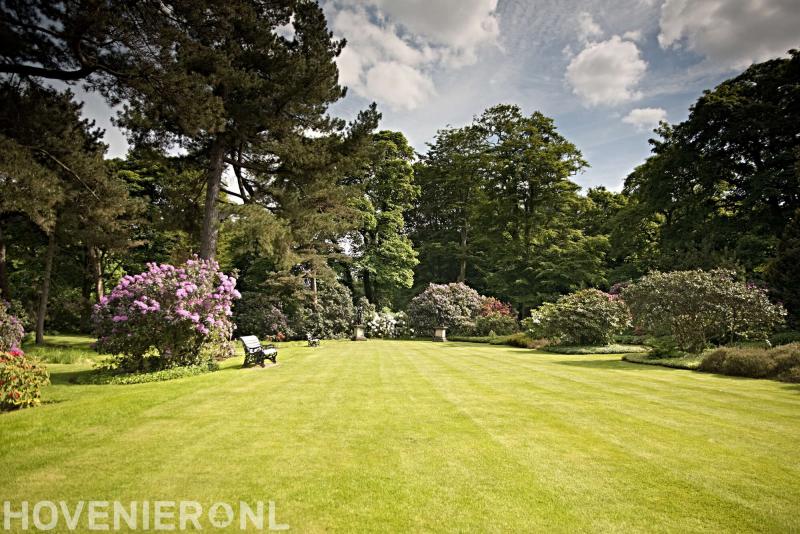 Boom en Groenverzorging