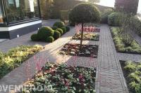 Voortuin met bestrating van klinkers en nieuwe beplanting 1