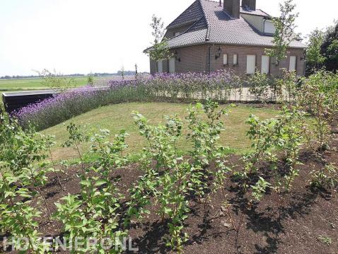 Landelijke tuin