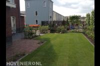 Achtertuin met gazon van graszoden en leibomen