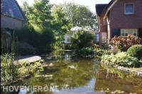 Grote heldere vijver met vlonder