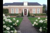 Klassieke tuin met rozen en hortensia's