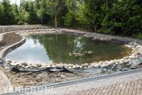 Grote vijver aanleggen