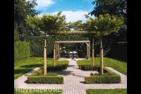 Tuin met leibomen, gazon en houten pergola boven zithoek