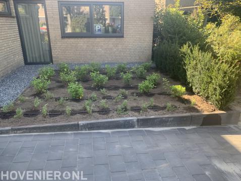 Voortuin met nieuwe beplanting en automatische beregening