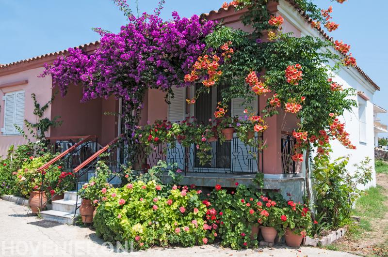 Hoveniersbedrijf 't Groene Hart