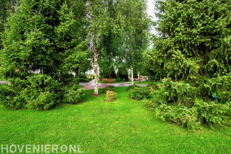 hoveniersbedrijf den Boer